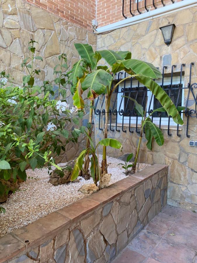 Botánica Bed & Breakfast